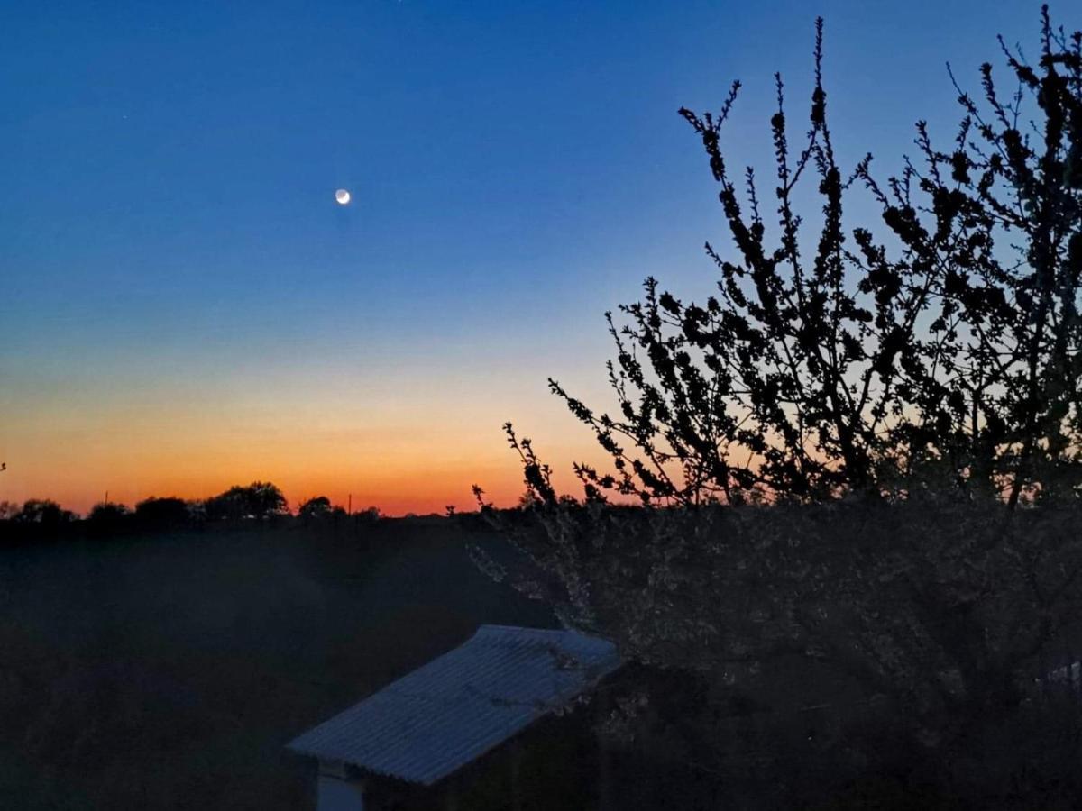 Gite Mimosa Saint-Florent-des-Bois Zewnętrze zdjęcie