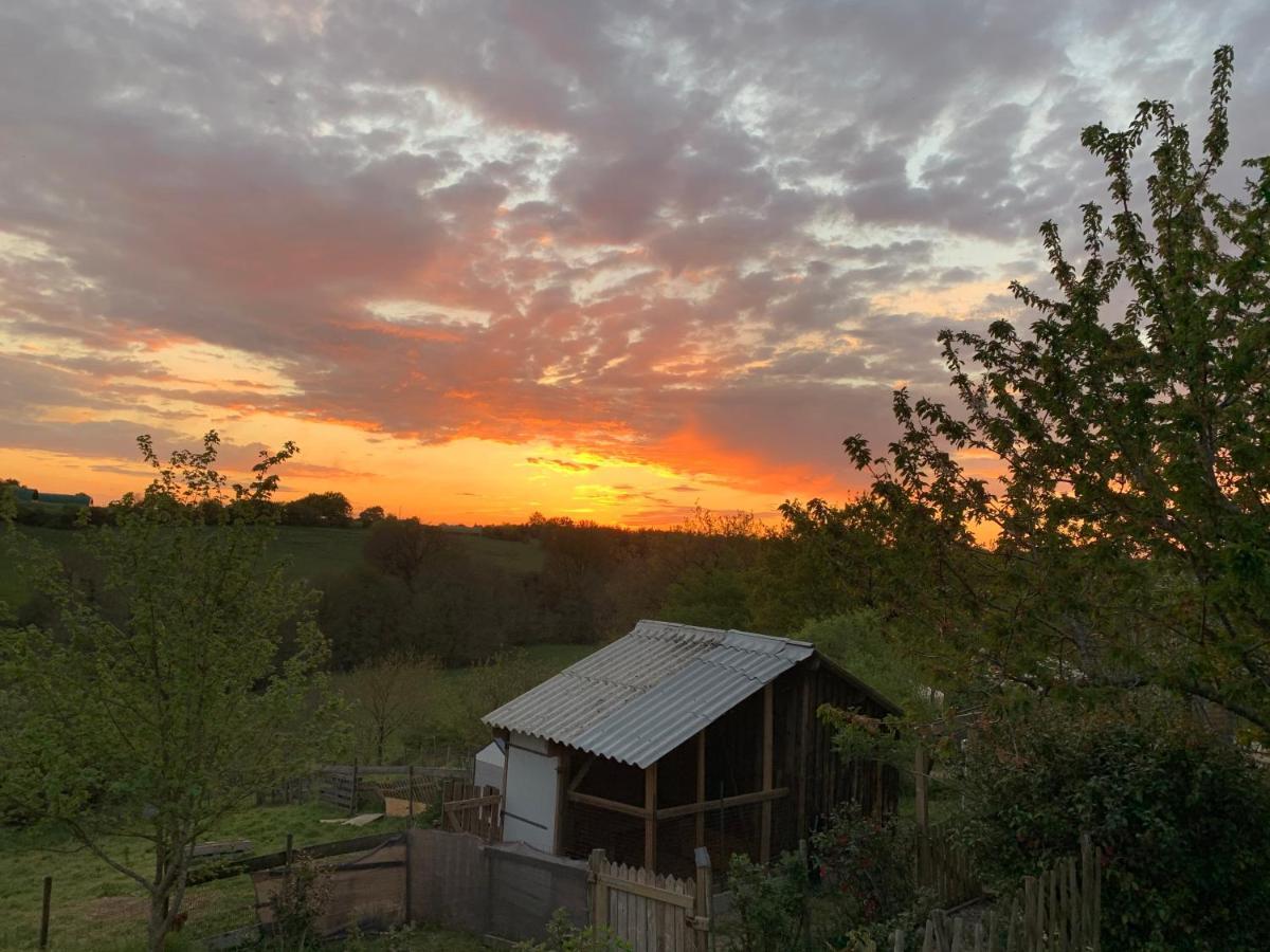 Gite Mimosa Saint-Florent-des-Bois Zewnętrze zdjęcie